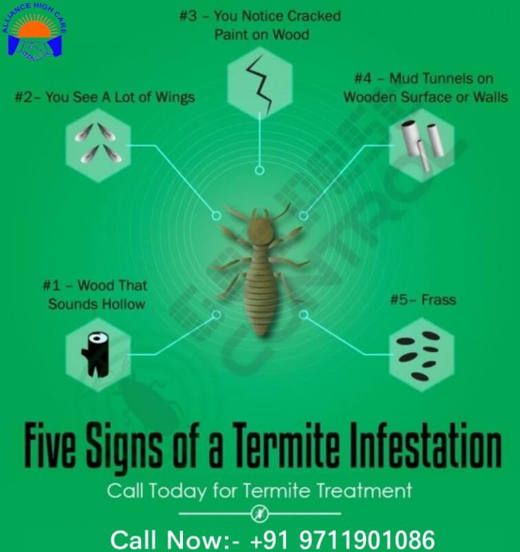 Sign of Termite Control Services