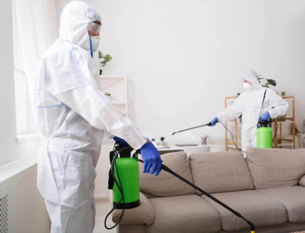 Disinfection services