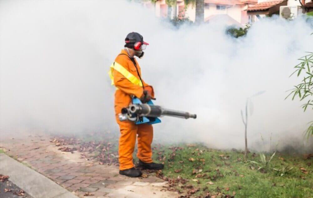 mosquito fogging control service